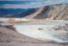 Mammoth hot springs_2002.jpg (31075 byte)