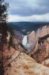 Yellowstone_2002.jpg (33559 byte)