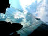 DSCN8828.jpg (120461 byte)