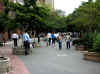 DSCN8901.jpg (158439 byte)