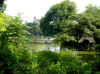 DSCN8945.jpg (203767 byte)