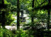 DSCN8949.jpg (244272 byte)