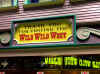 DSCN9250.jpg (165125 byte)