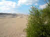 DSCN0214.jpg (357214 byte)