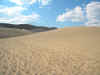 DSCN0220.jpg (220862 byte)