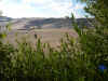 DSCN0229.jpg (381929 byte)