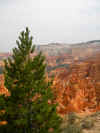 DSCN0738.jpg (255980 byte)