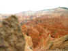 DSCN0744.jpg (240471 byte)